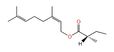 (S)-(Z)-3,7-Dimethyl-2,6-octadienyl 2-methylbutyrate